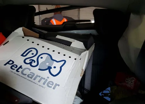 2021 Chevrolet Trax 1Lt z USA, uszkodzony, nr VIN KL7CJLSB5MB337832